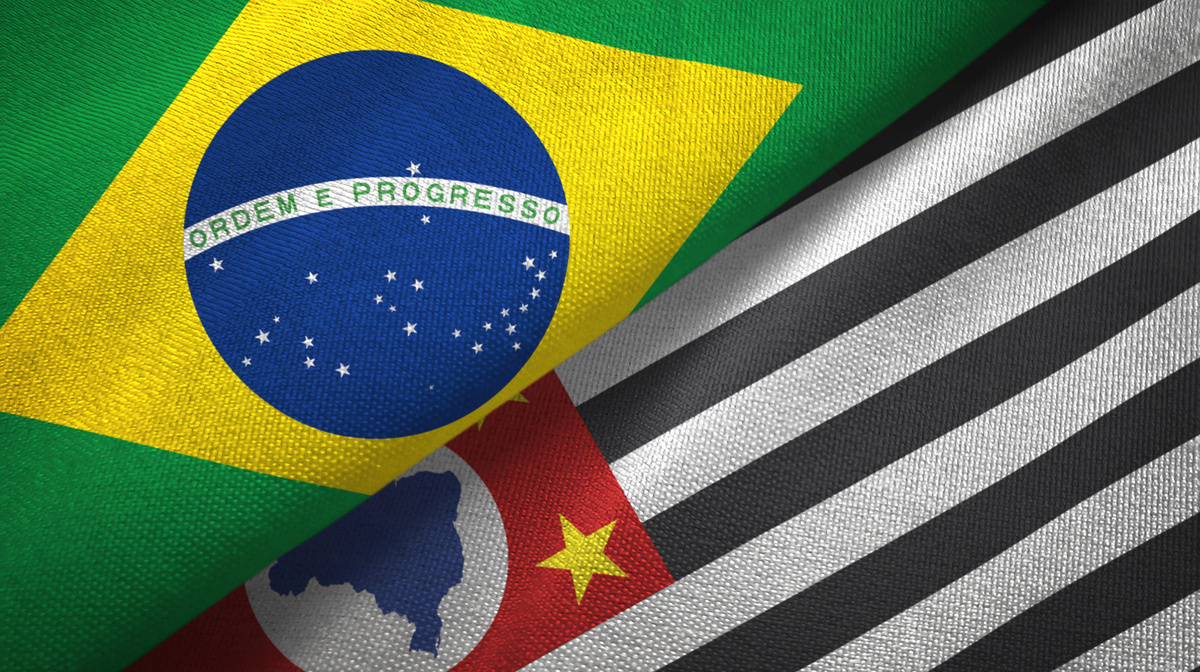 São Paulo como Referência em Política: Avanços e Desafios na Gestão Pública